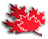 CLC Logo