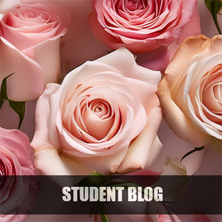 Roses blog thumb original