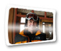 2011 mb ski day thumb